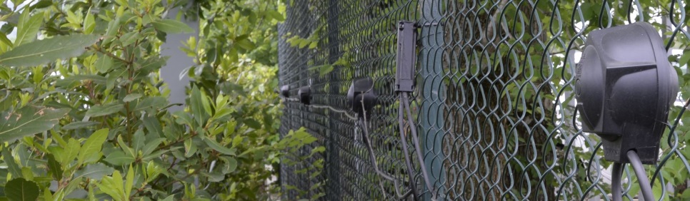 Slider Image 3