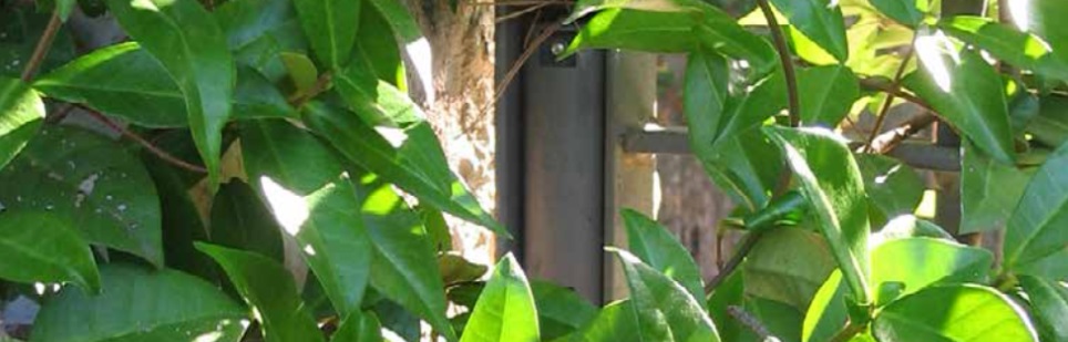 Slider Image 5